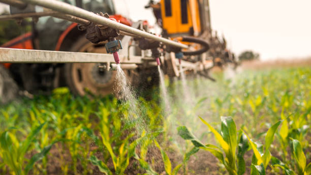 Wildlife Control Services in Brownfields, LA